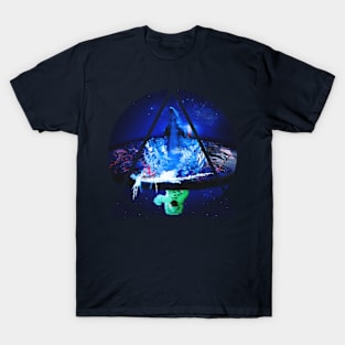 Flat earth T-Shirt